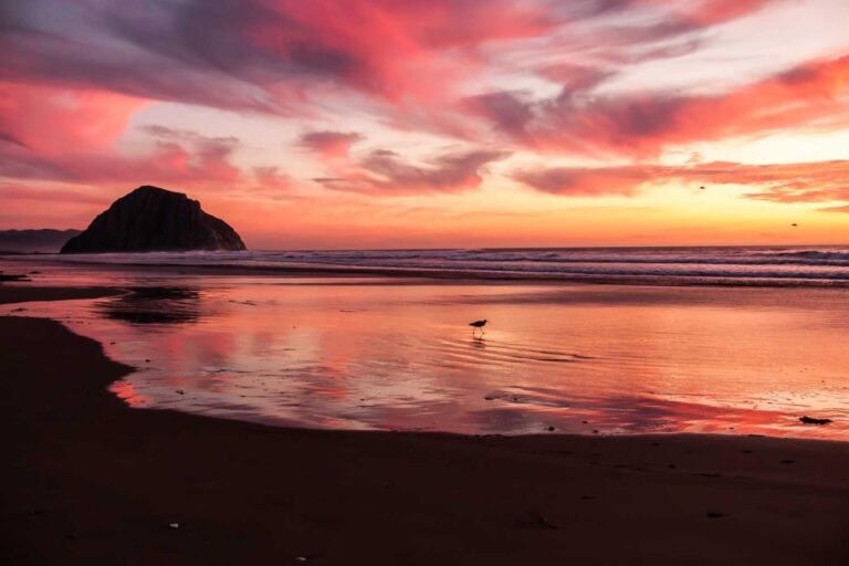 Producciones cinematográficas que sorprendieron al público